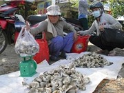 Quê nấm Phú Lương thoát nghèo