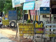 Thừa Thiên - Huế công bố quy chuẩn sản phẩm dầu tràm