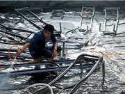 Nuôi tôm công nghệ cao lót bạt, lãi 2 tỷ đồng/năm