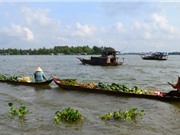 Sông Mê Kông lọt top 10 con sông quan trọng nhất thế giới