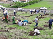 Choáng với màn trồng 66 triệu cây xanh trong nửa ngày ở Ấn Độ