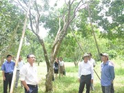 Thừa Thiên Huế sơ kết ngành KH&CN 6 tháng đầu năm 2017