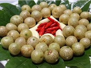 Những công dụng không ngờ của lá mắc mật đối với sức khỏe