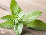 Công dụng làm đẹp không ngờ của lá bạc hà