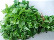 Ăn rau bồ ngót lợi hay hại?