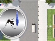 Alphabet phát triển công nghệ tiêu diệt muỗi mang virus Zika
