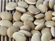 Công dụng bất ngờ của đậu ván trắng
