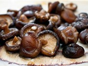 Công dụng tuyệt vời của nấm hương