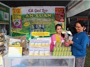 Kỳ vọng cây dược liệu 'đẻ' ra tiền