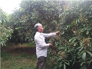 Chuyên canh nhãn Idor thu tiền tỷ mỗi năm