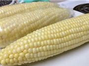 Hướng dẫn trồng và chăm sóc cây bắp nếp cho năng suất cao