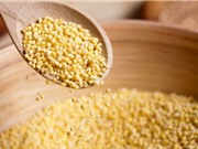 Hạt kê vàng tí hon - thuốc quý của muôn nhà