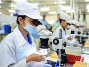TP.HCM: Đề xuất 4 nhiệm vụ phát triển doanh nghiệp khoa học và công nghệ