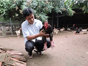 NDXS 2017: "Vua gà" Đông Tảo hé lộ bí quyết hốt gọn 3,5 tỷ đồng/năm