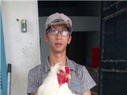 Từ đam mê trở thành 'ông chủ' sở hữu 20 giống gà cảnh