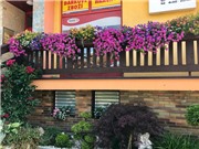 Trăm loài hoa quý hiếm ở "thiên đường mặt đất" của mẹ Việt trời Tây