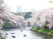 10 điểm đến không thể bỏ qua khi ghé thăm Thủ đô Tokyo