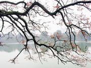 “Mục sở thị” địa danh là biểu tượng của Hà Nội