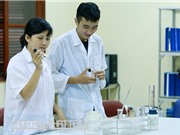 Một số đơn vị nghiên cứu về giống lúa tại Việt Nam