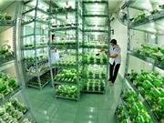Giải 'bài toán' nông nghiệp công nghệ cao