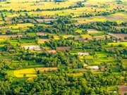 “Tận mục” ruộng bậc thang độc nhất ở Đồng bằng sông Cửu Long