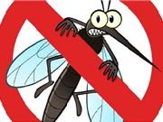 5 bước đơn giản nhất để đuổi muỗi