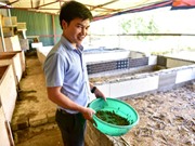 8x kiếm tiền tỷ mỗi năm nhờ nuôi bọ cạp, rắn mối… ở Hà Nội
