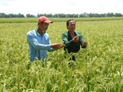 'Nói không' với thuốc bảo vệ thực vật