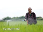 Lãng phí cả nghìn tỷ đồng mỗi năm vì phun thuốc sâu quá liều