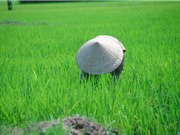 Loạt ảnh tuyệt vời về Việt Nam cuối thập niên 1990 (Phần II)