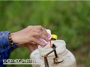 Mỗi xã chỉ nên có 2-3 đại lý thuốc bảo vệ thực vật