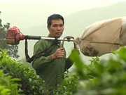 Nông dân sáng chế máy hút sâu cho cây chè