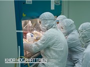 Bản đồ công nghệ tạo đà cho vắcxin “made in Vietnam”