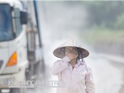 TPHCM có chất lượng không khí ổn định hơn Hà Nội 