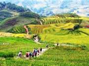 Báo ngoại gợi ý 10 điểm tham quan hấp dẫn nhất Việt Nam năm 2017