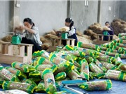 Miến dong Nhất Thiện - đặc sản nổi tiếng của tỉnh Bắc Kạn