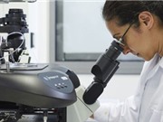 Tìm ra "gene mắn đẻ" giúp chữa vô sinh