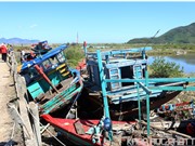 Mỹ dành 1,54 triệu USD hỗ trợ Việt Nam ứng phó thiên tai