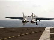 Khám phá chiến đấu cơ F-14 Mỹ từng điều tới Việt Nam