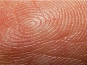 Công nghệ kiểm tra vân tay có thể biết được lịch sử sinh hoạt trong một tháng