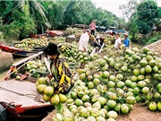Bến Tre: “Cầu viện” khoa học để làm thương hiệu cho nông sản