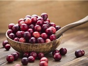 7 thực phẩm có tác dụng chữa viêm loét dạ dày hiệu quả