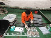 Công nghệ bảo quản mực ống tươi ngon sau 1 tháng