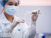 Chinh phục đỉnh cao: Nhà khoa học nữ dấn thân hay lùi bước?