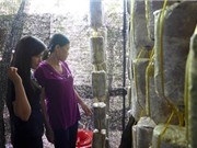 Trồng nấm Bào ngư và nấm Linh chi tại thị trấn Hai Riêng, huyện Sông Hinh