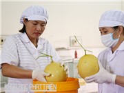 Từ xóm khởi nghiệp ven biển đến làng khởi nghiệp Techfest