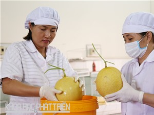 Từ xóm khởi nghiệp ven biển đến làng khởi nghiệp Techfest
