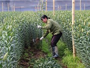 Chuyển giao tiến bộ kỹ thuật: "Cái được" của nhà khoa học