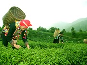 Khai thác lợi thế cụm vùng: Liên kết thực hiện nhiệm vụ khoa học và công nghệ