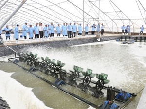Thêm hai chương trình tăng tốc khởi nghiệp nông nghiệp